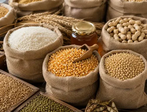 Grains and agriculture products for B2B import-export enquiries.